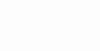 White Starlink Logo